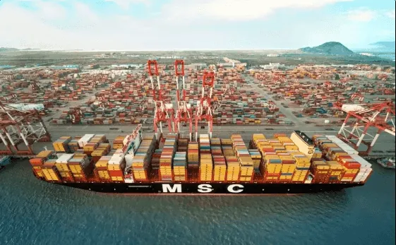 New services for Mediterranean shipping