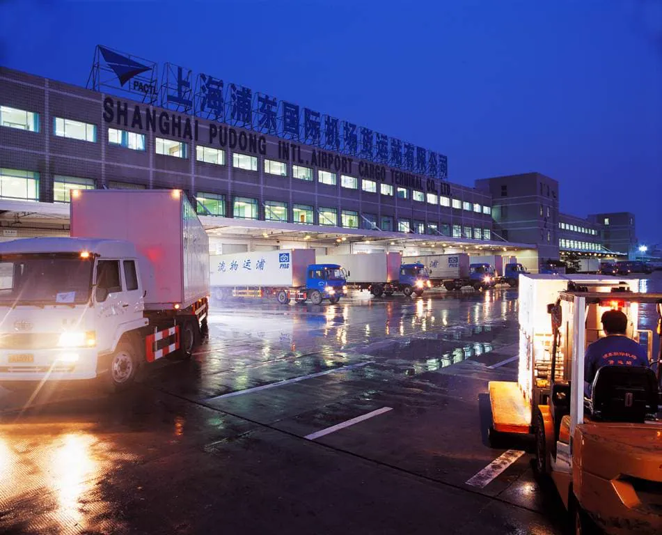 Shanghai Pudong backlogs expected to continue over coming weeks