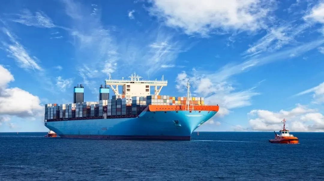 The shipping company will suspend a large area of Vessels in June