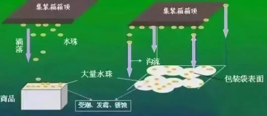 The container is flooded. Whose fault is it? How to prevent and respond?