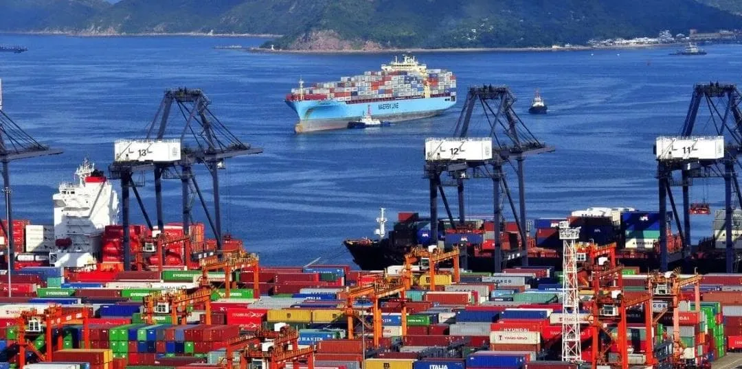 Lacking Containers! No Space! Increasing Price! Customs inspection rates high