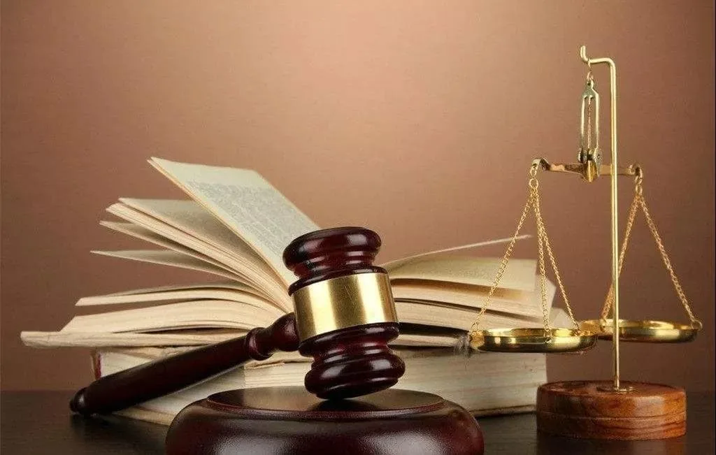 Who should bear the cost during the detention of the goods by the customs?