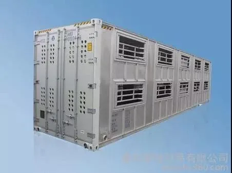 Container classification and introduction