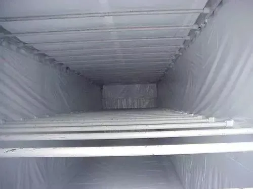 Container classification and introduction