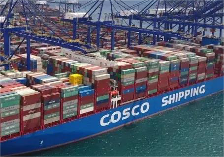 15CBM Sea Freight Shipping From Shenzhen, China to Dubai, UAE