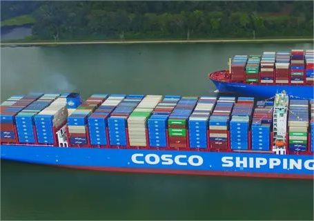 12000KGS Ocean Freight Shipping From Shenzhen, China To Dubai port  International, UAE